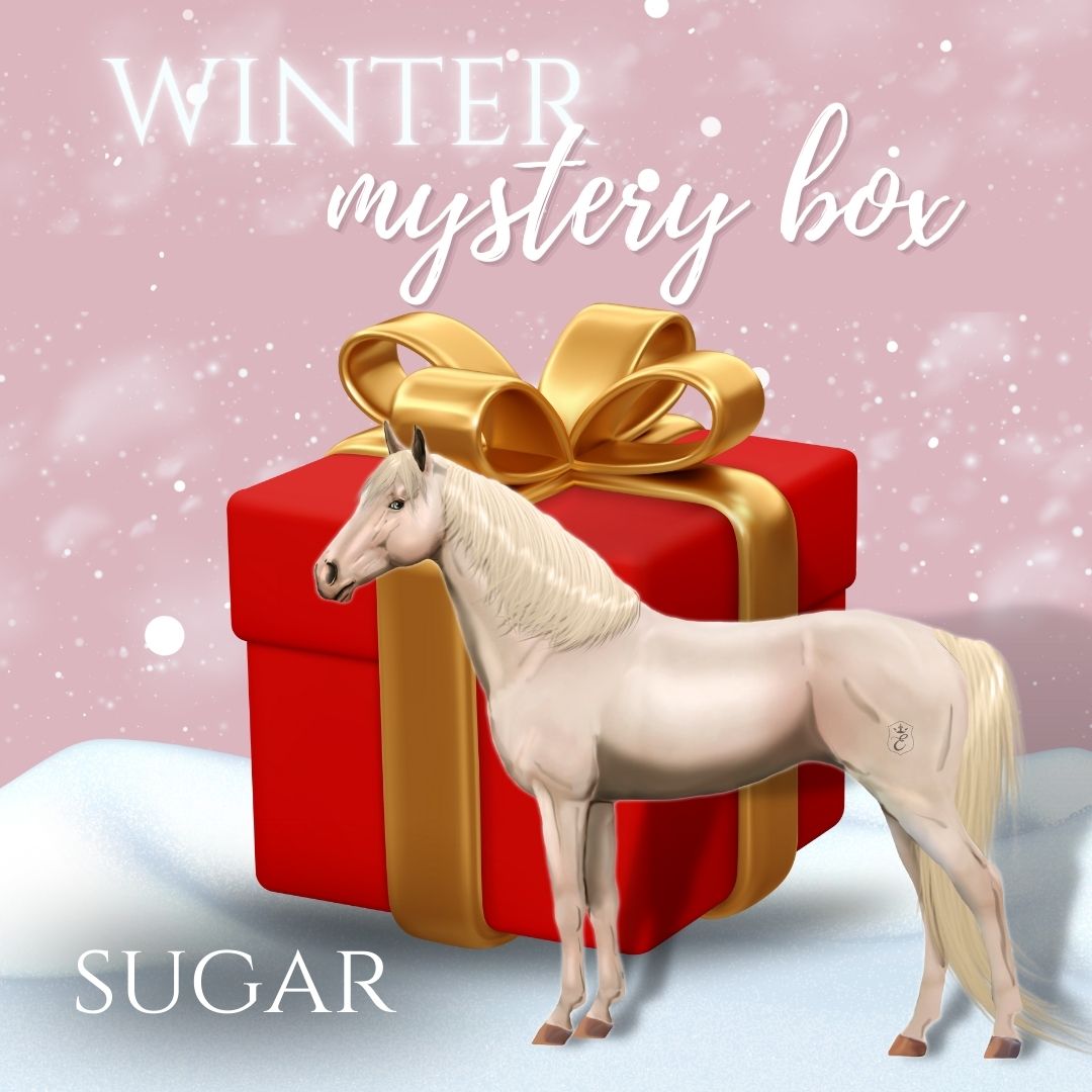 Winter Mystery Box - SUGAR