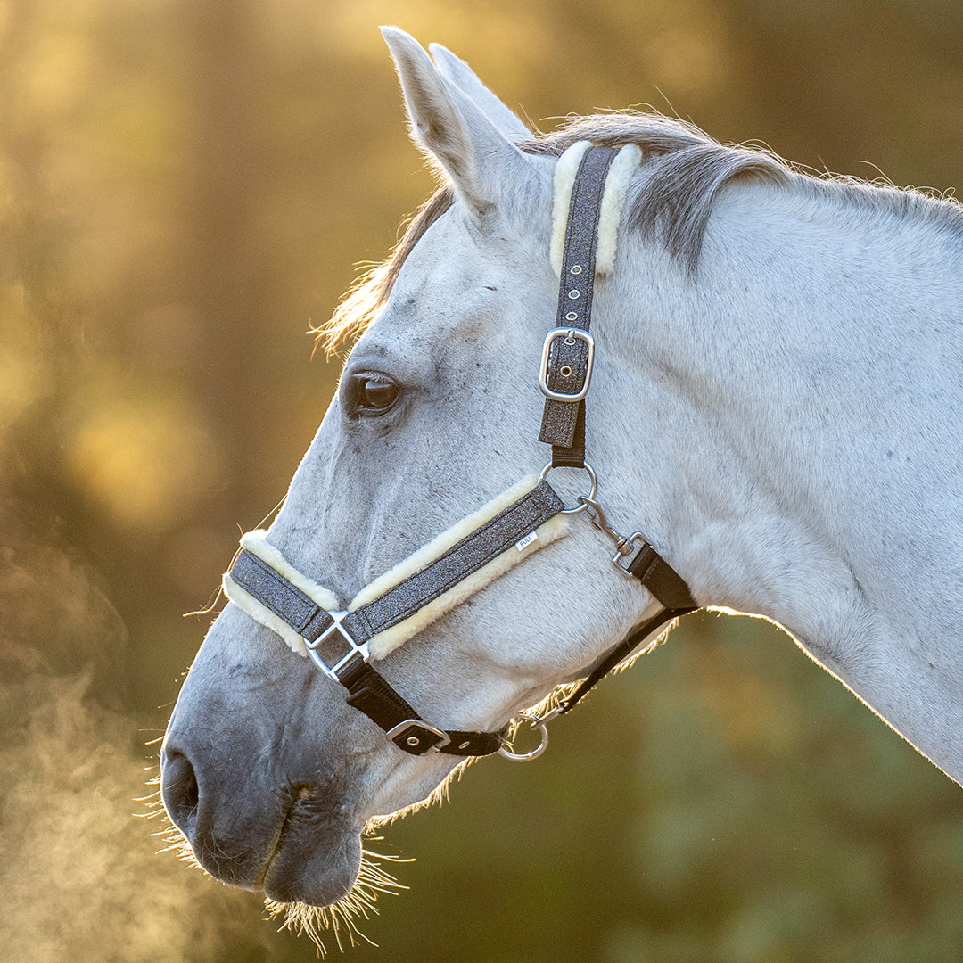 Stardust Grey Halter Equestroom