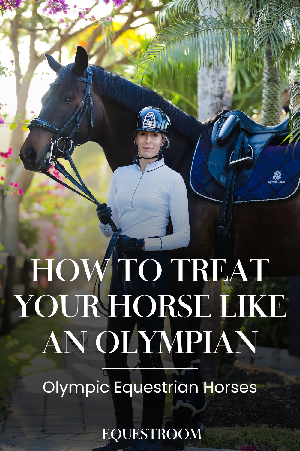 How to Treat Your Horse Like an Olympian