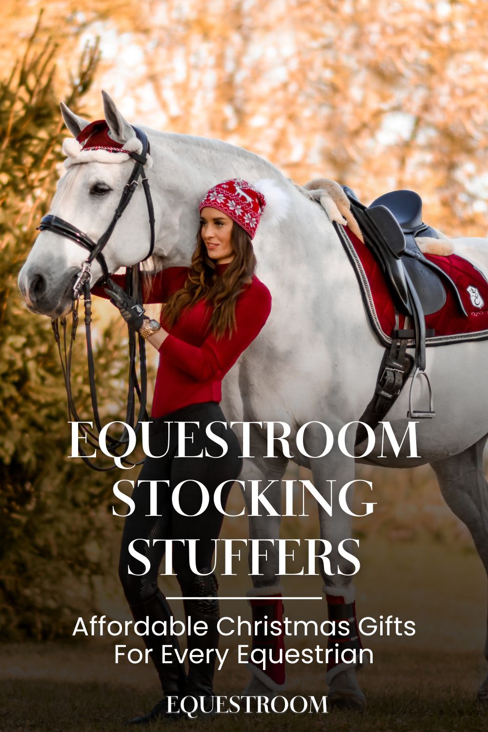 Equestroom Stocking Stuffers