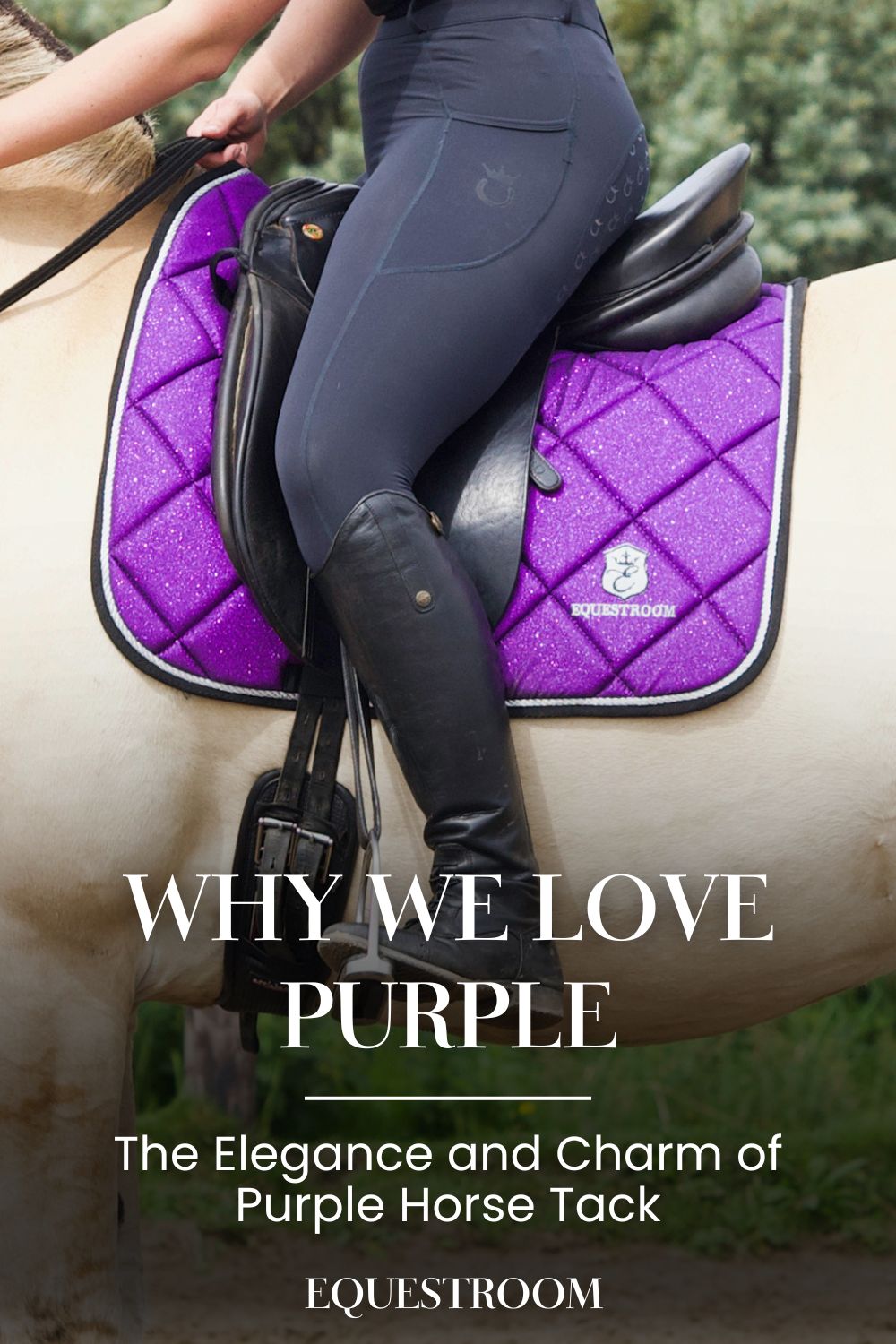 Why We Love Purple: The Elegance and Charm of Purple Horse Tack