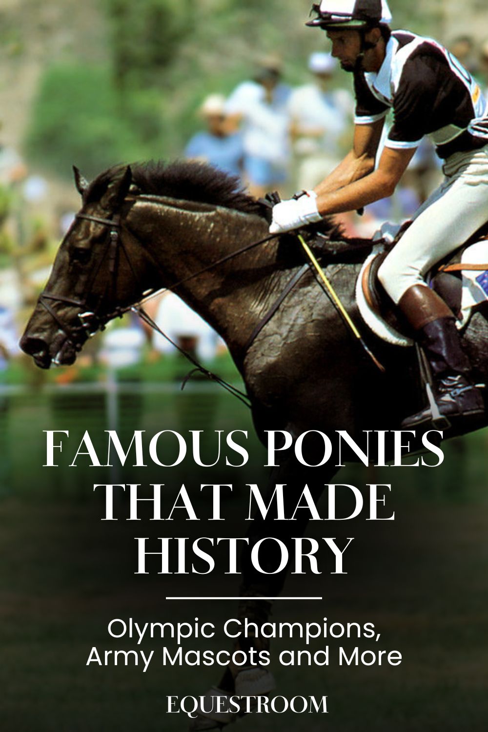 Famous Ponies That Made History