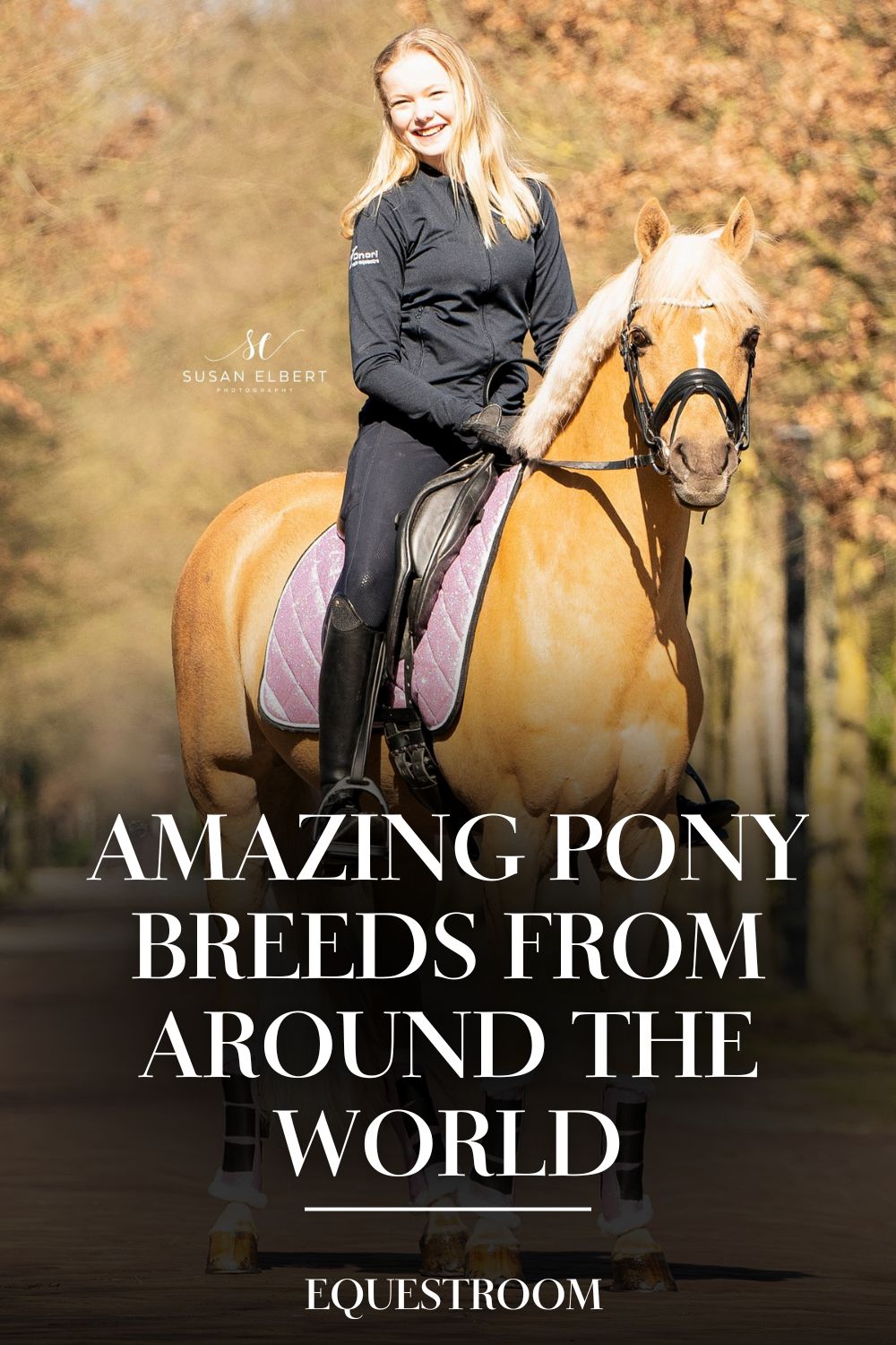 Amazing Pony Breeds from Around the World