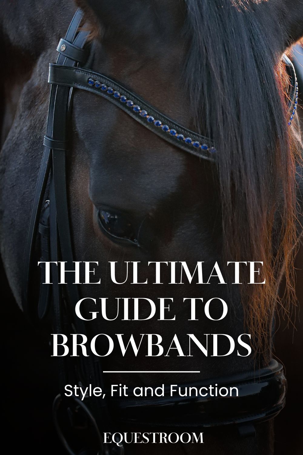 The Ultimate Guide to Browbands for Horses