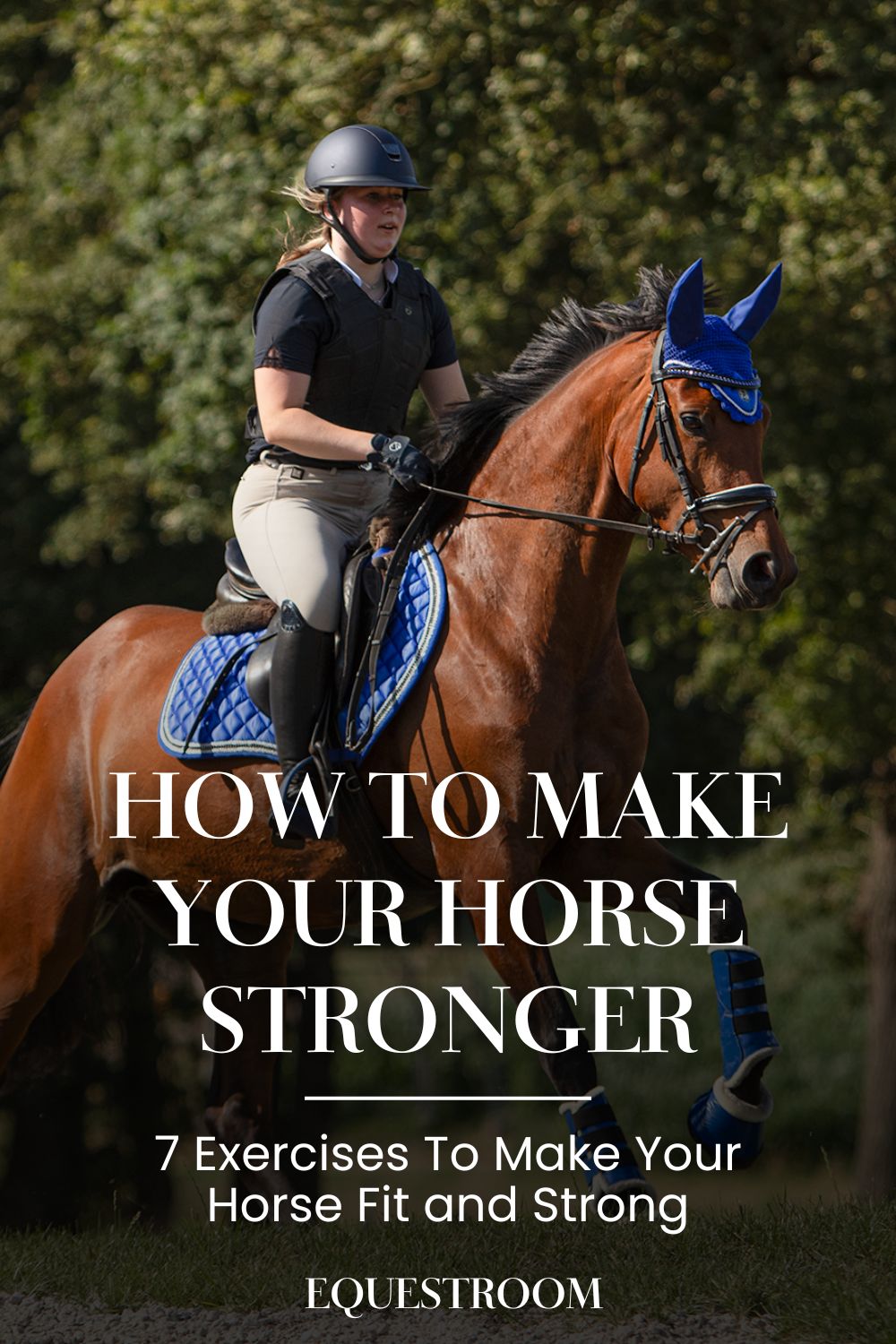 HOW TO MAKE YOUR HORSE STRONGER 