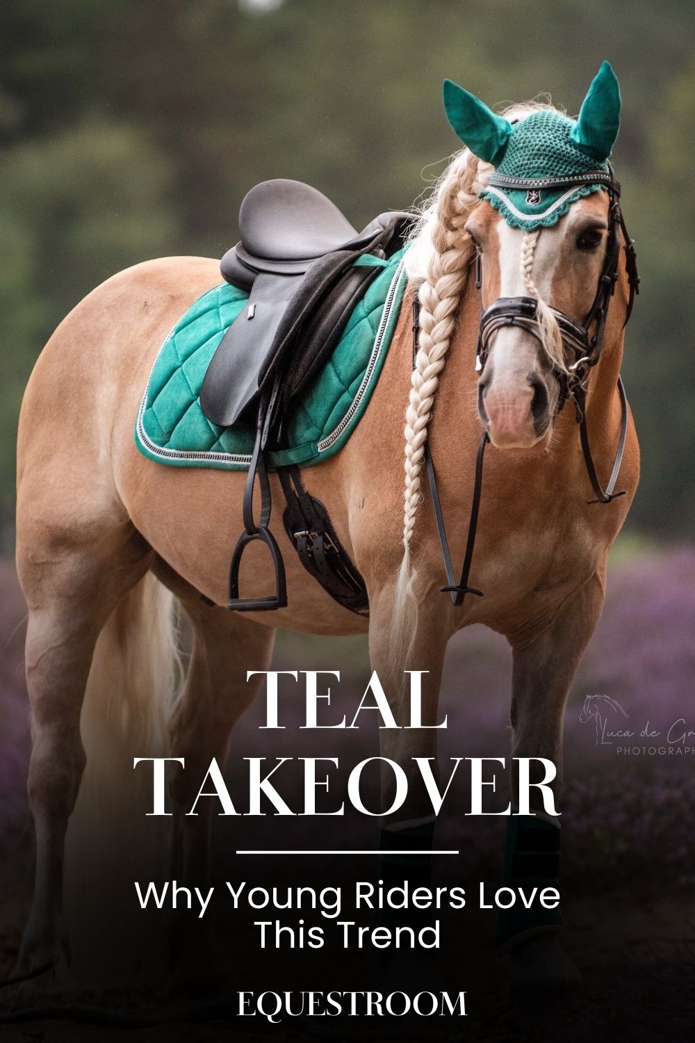 Teal Takeover: Why Young Riders Love This Trend