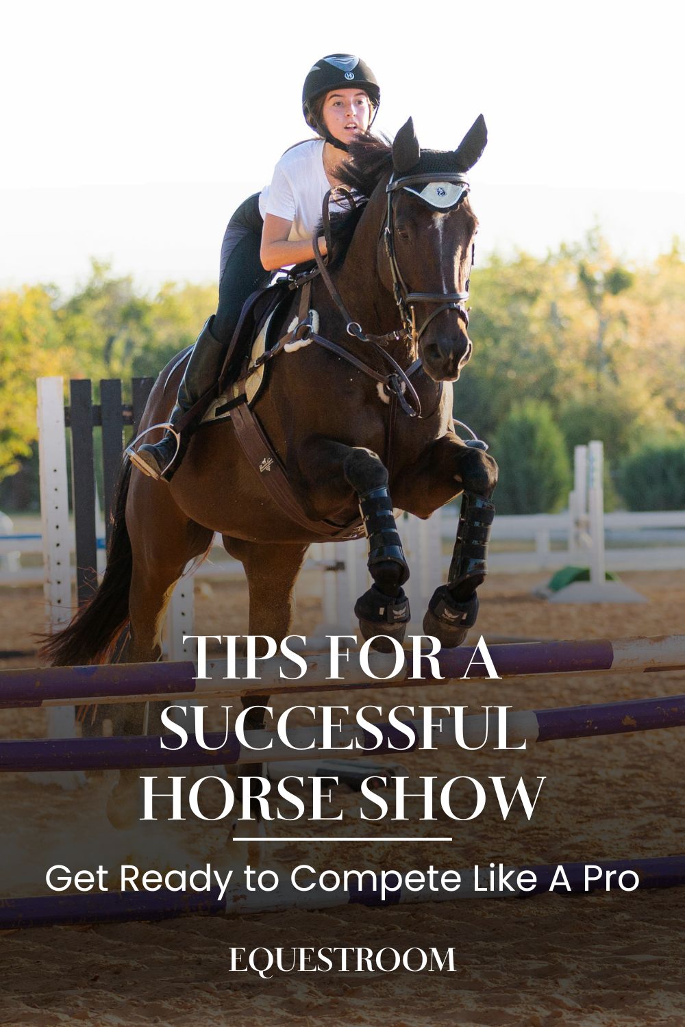 How To Prepare For A Horse Show – Equestroom