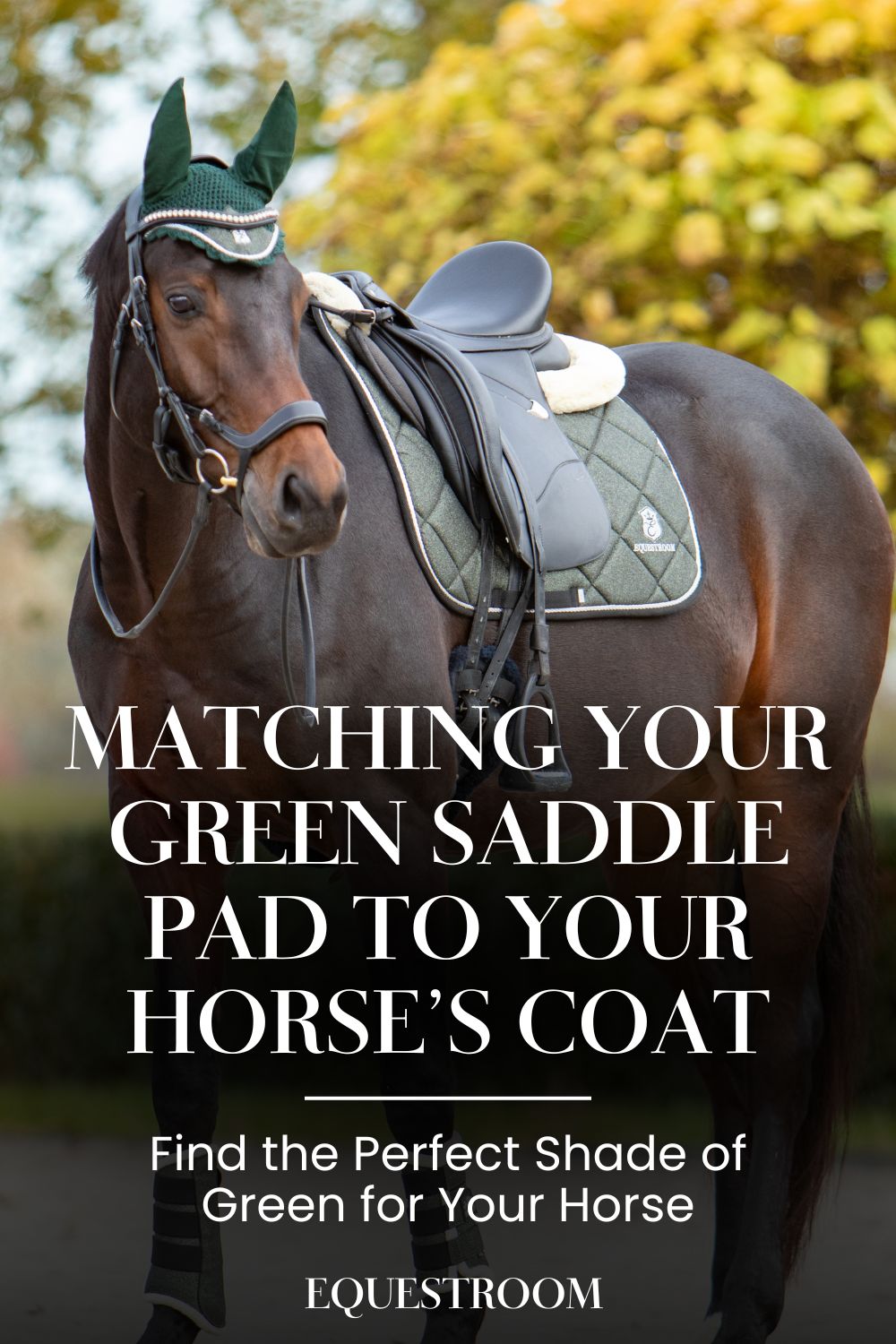 Matching Your Green Saddle Pad to Your Horse’s Coat Color