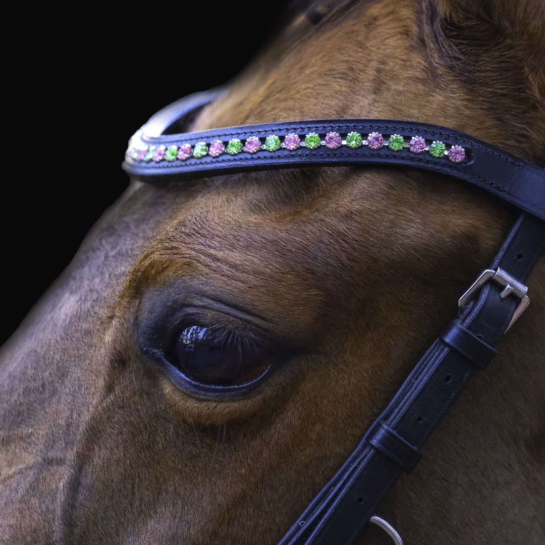 Online shop for Horse Tack, Riding Apparel, Equestrian Equipment –  Equestroom