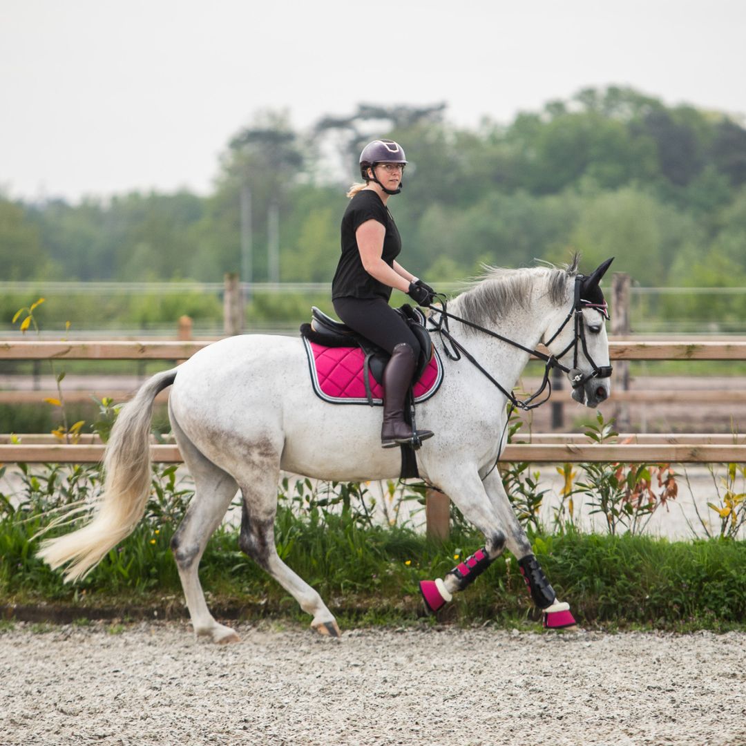 Raspberry Fizz Saddle Pad Set