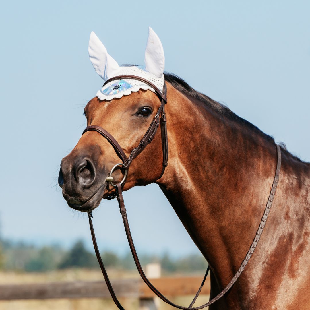 Holographic Saddle Pad Set