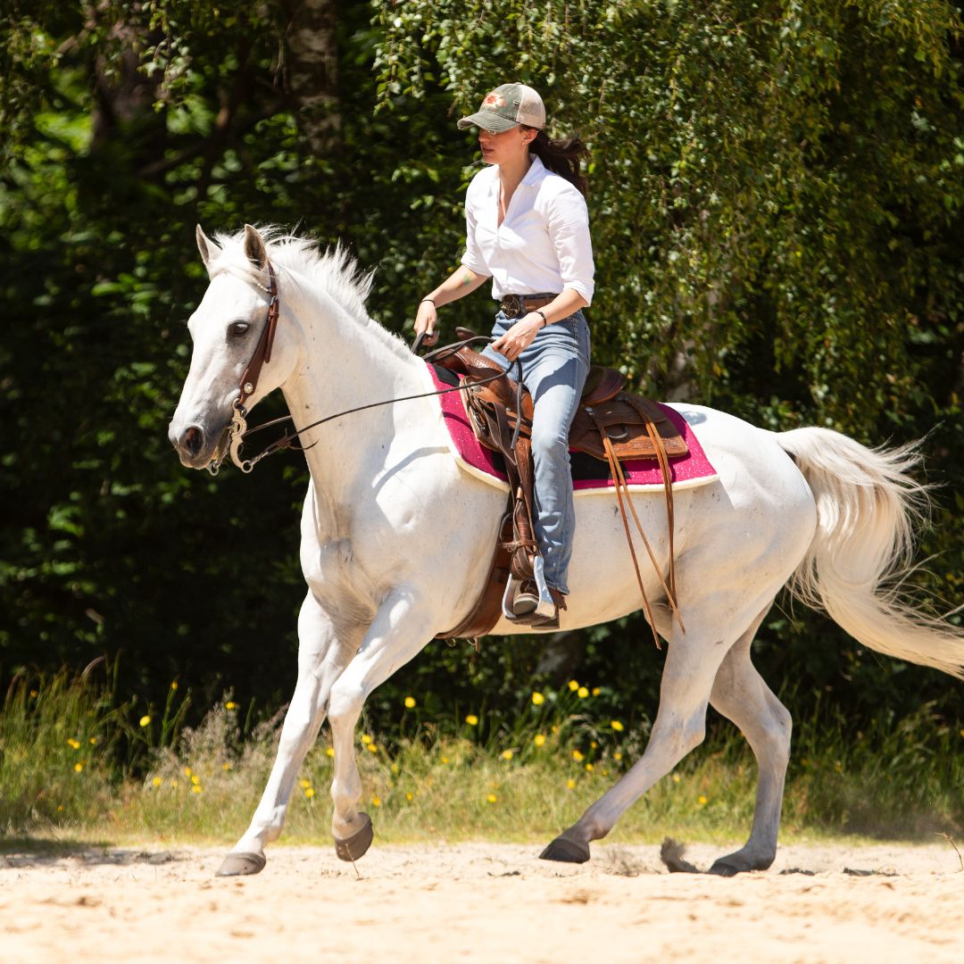 Raspberry Western Saddle Pad