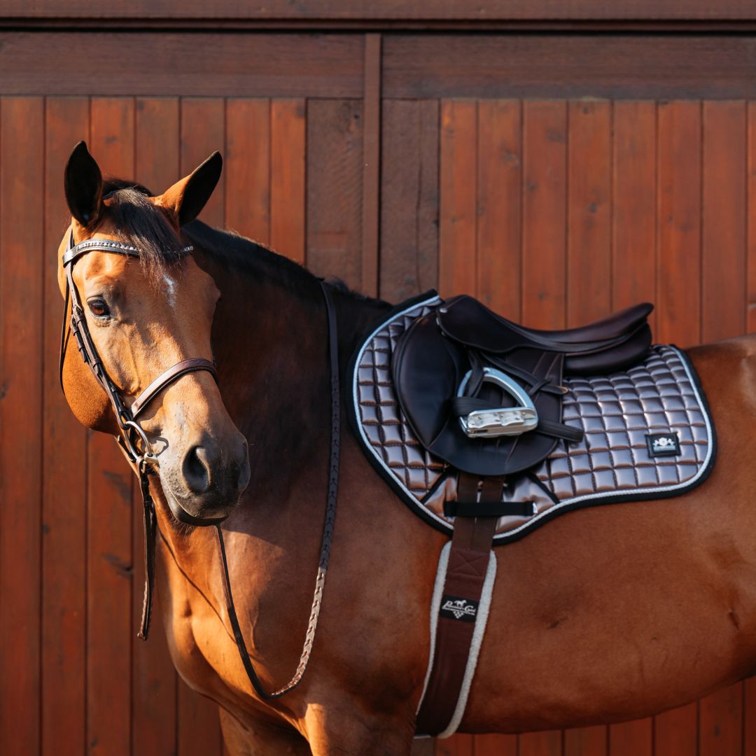 Spaceship Grey Saddle Pad Set