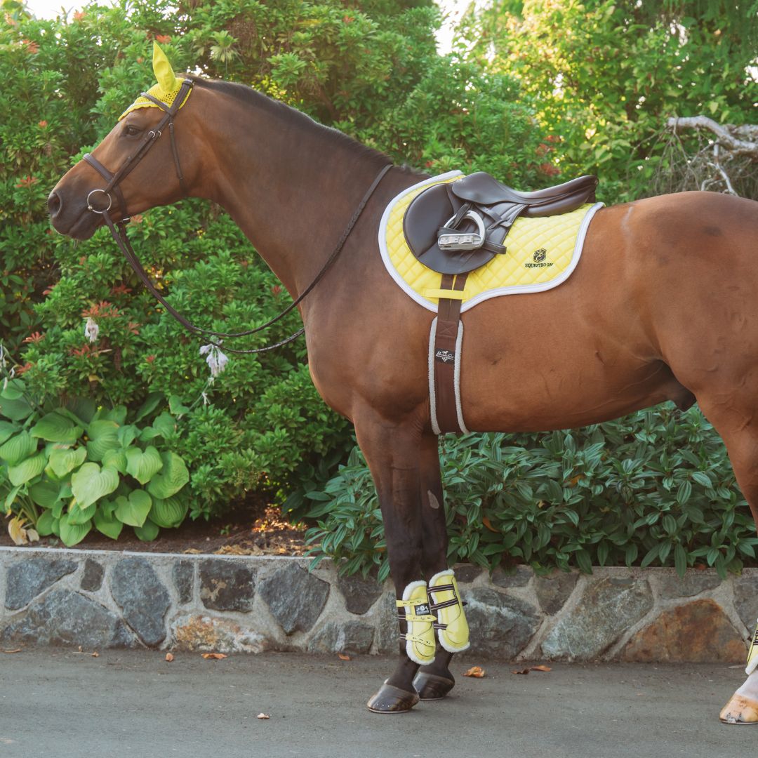 Mimosa Saddle Pad Set