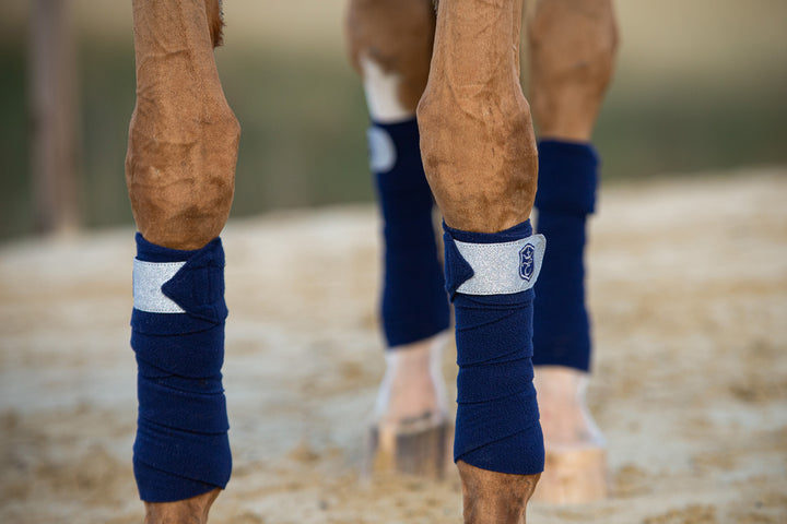 Blue Astra Saddle Pad Set