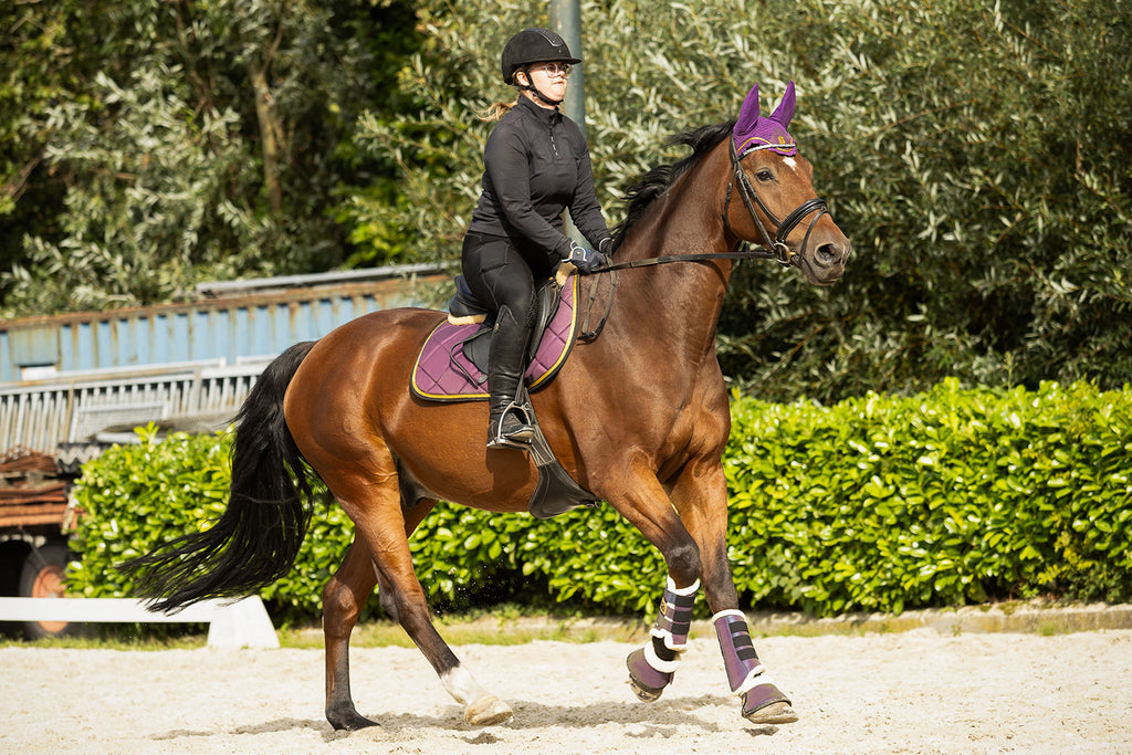 Dark Orchid Saddle Pad