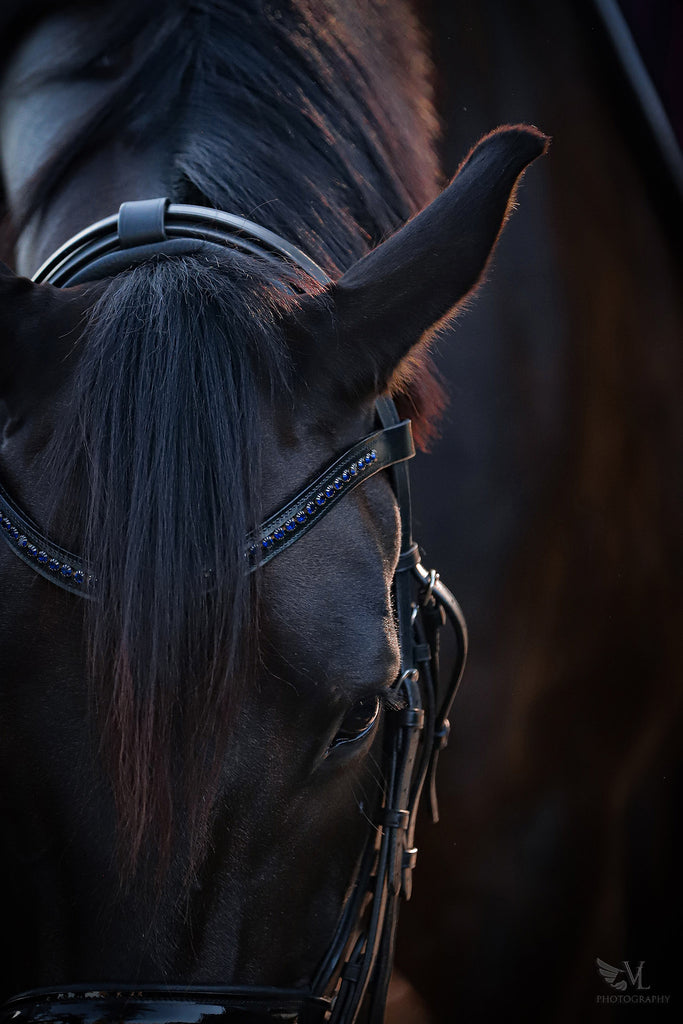 Ultraviolet Browband