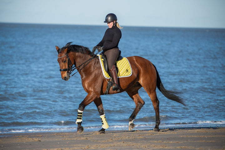 Mimosa Brushing Boots