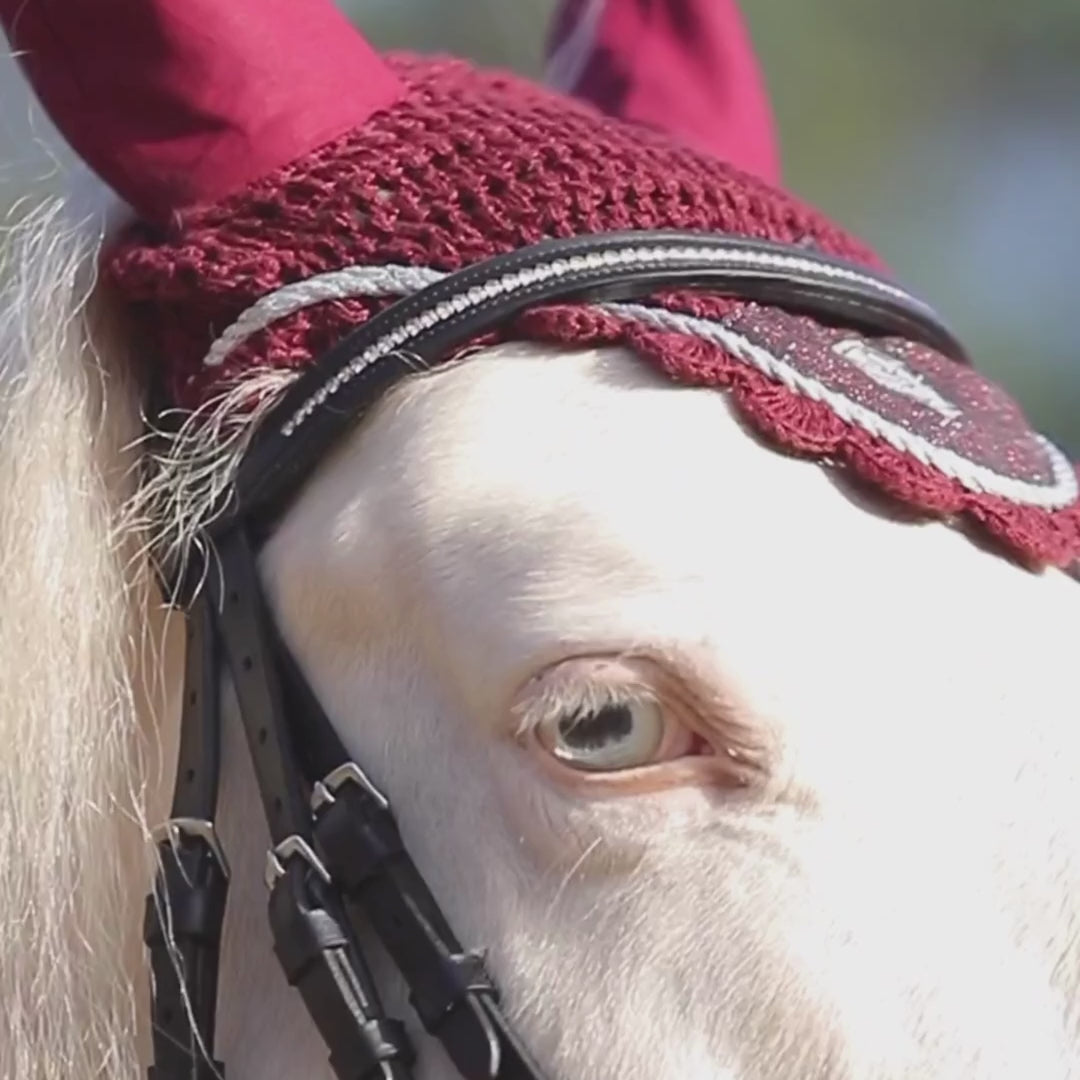 Burgundy Fly Hat