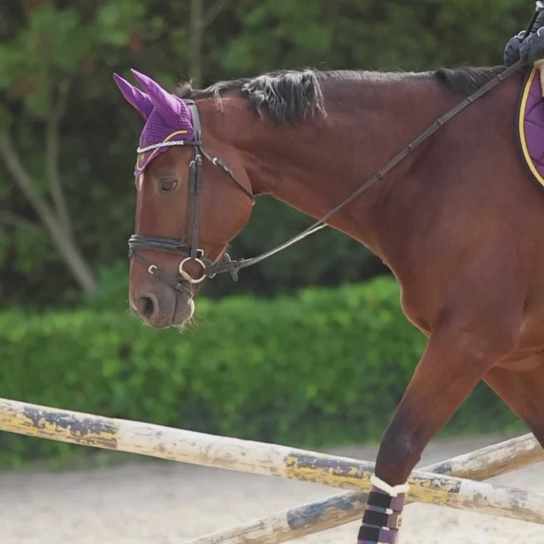 Dark Orchid Saddle Pad Set