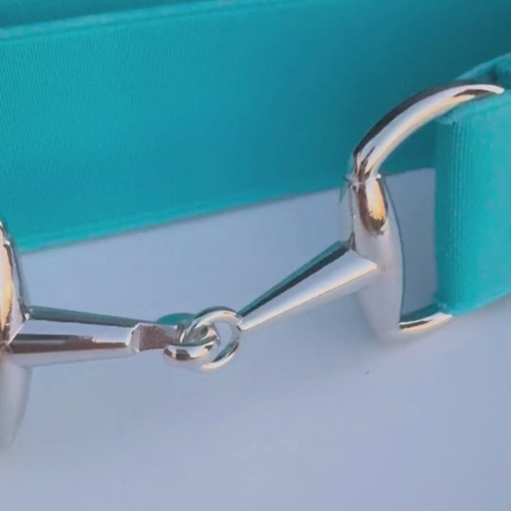 Turquoise Elastic Equestrian Belt