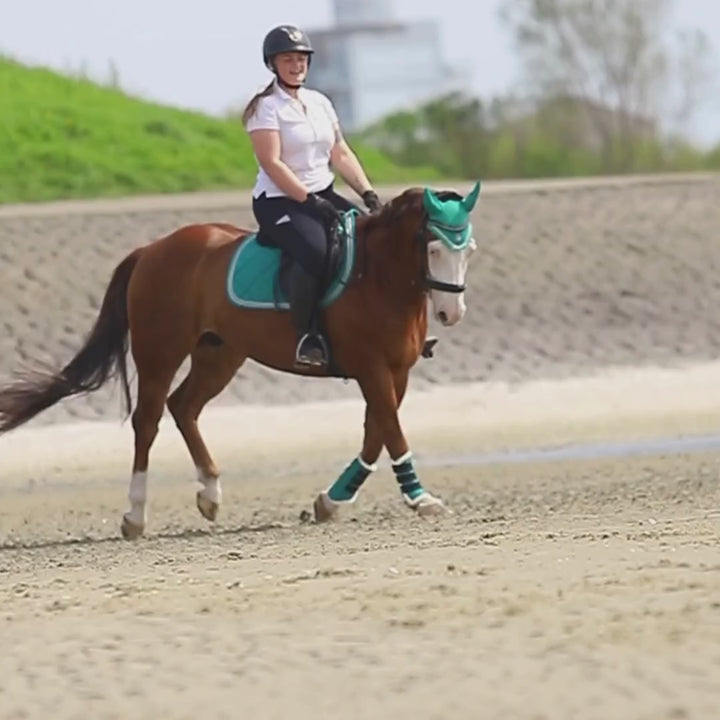 Teal Saddle Pad Set