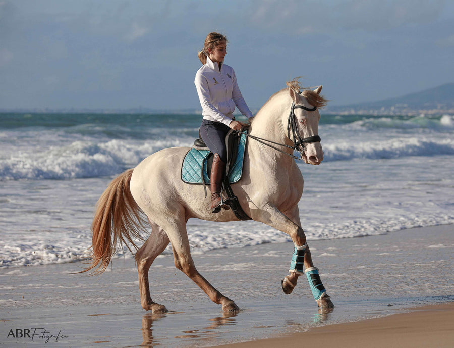 Baby Blue Saddle Pad Set – Equestroom