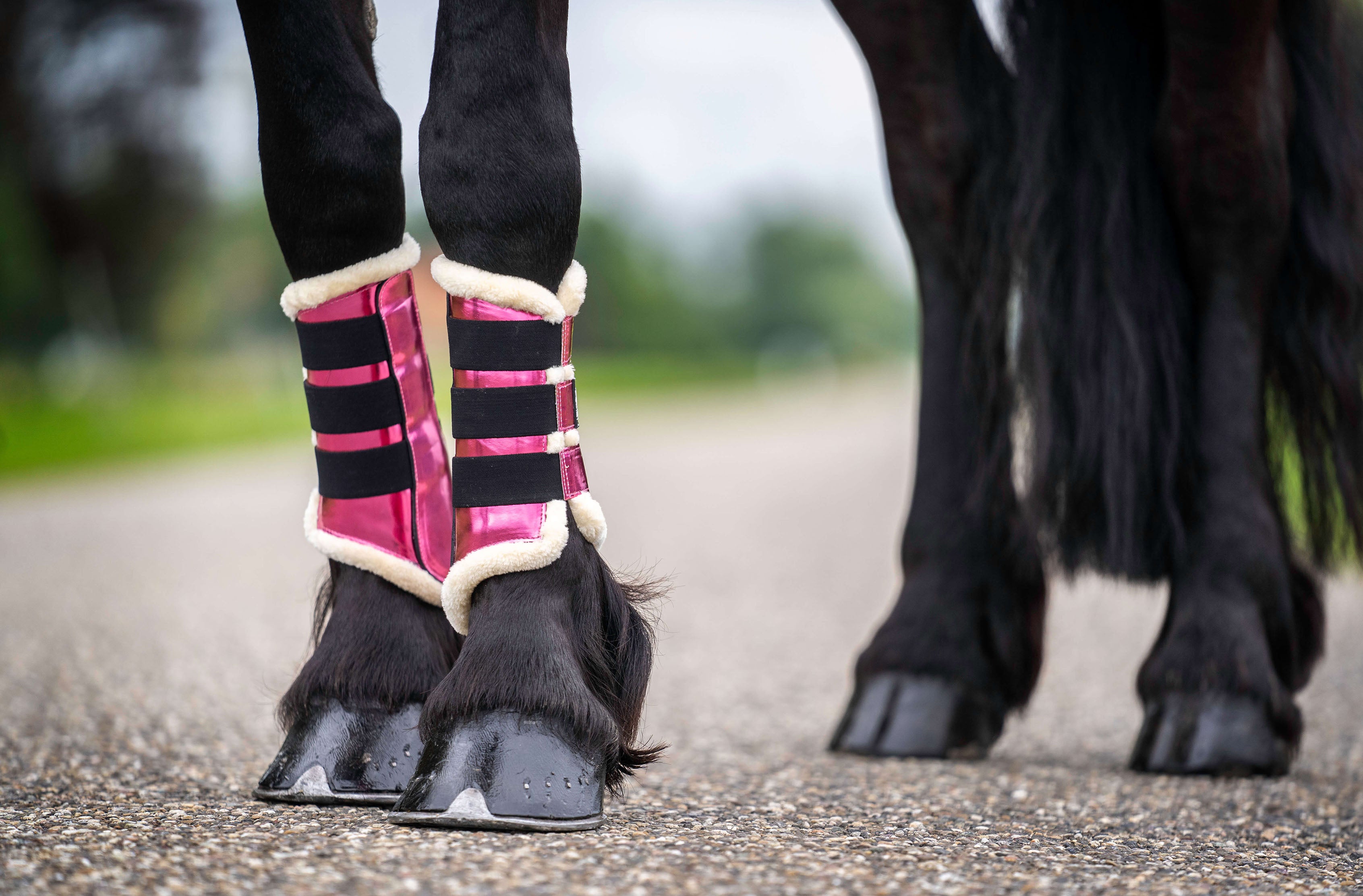 Pink hotsell horse boots