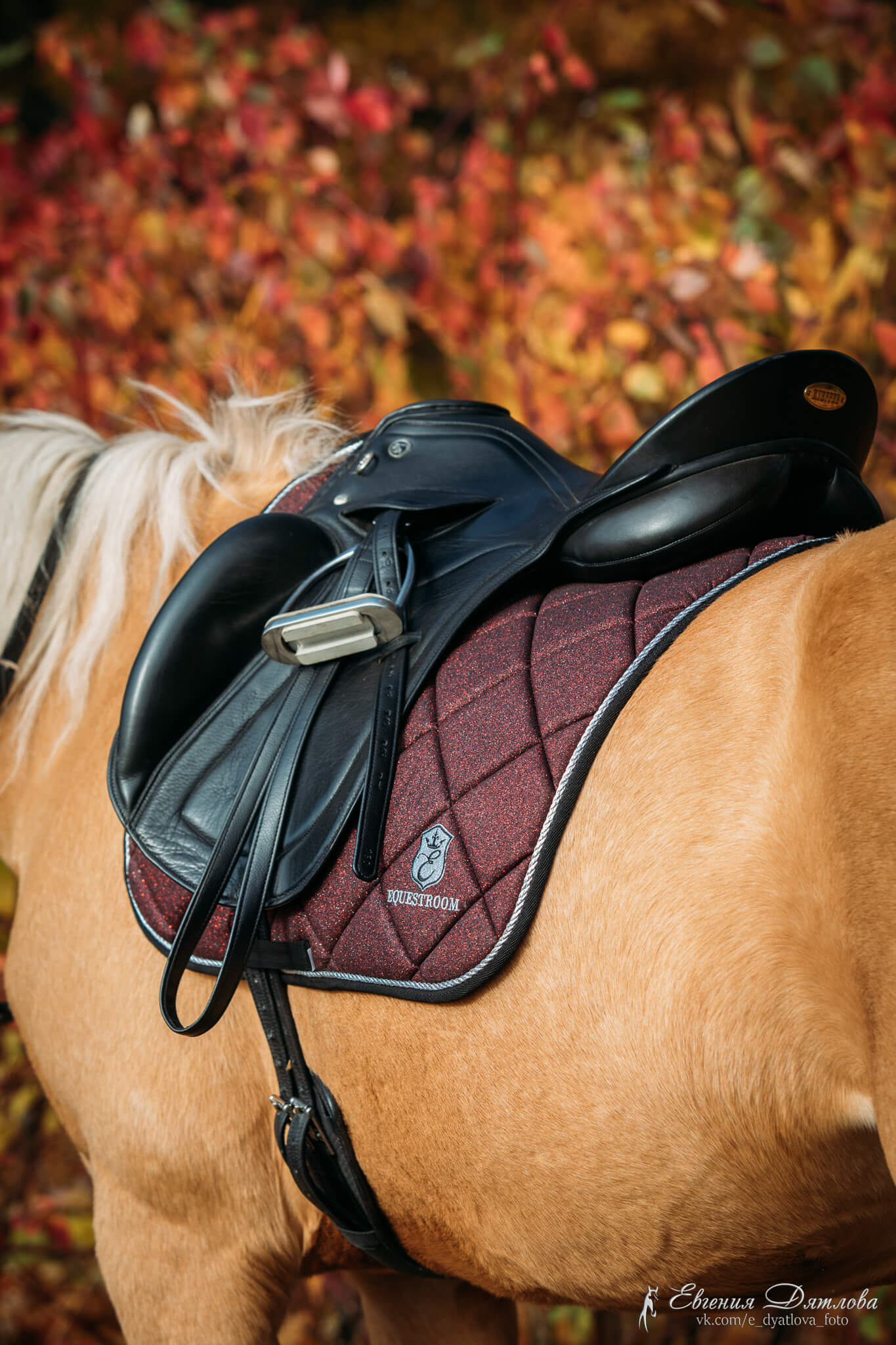 Maroon western saddle online pad