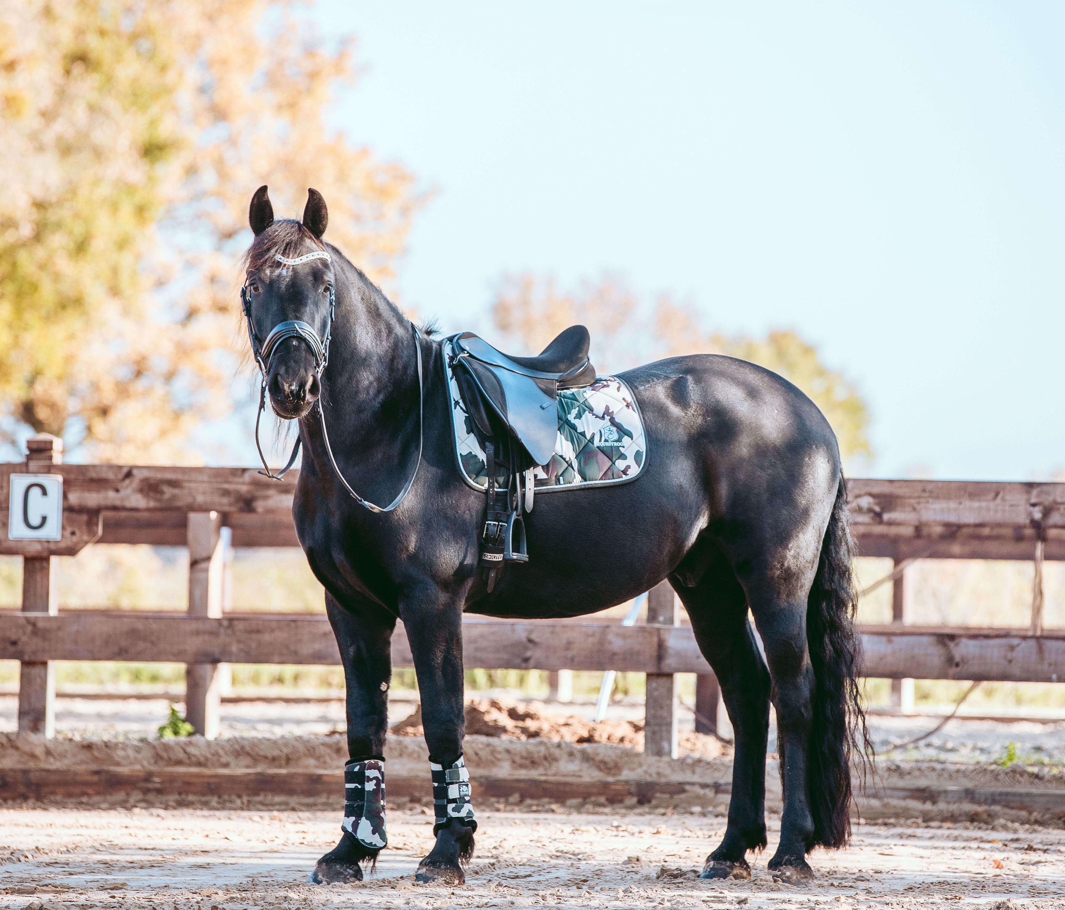 Camo hotsell horse boots