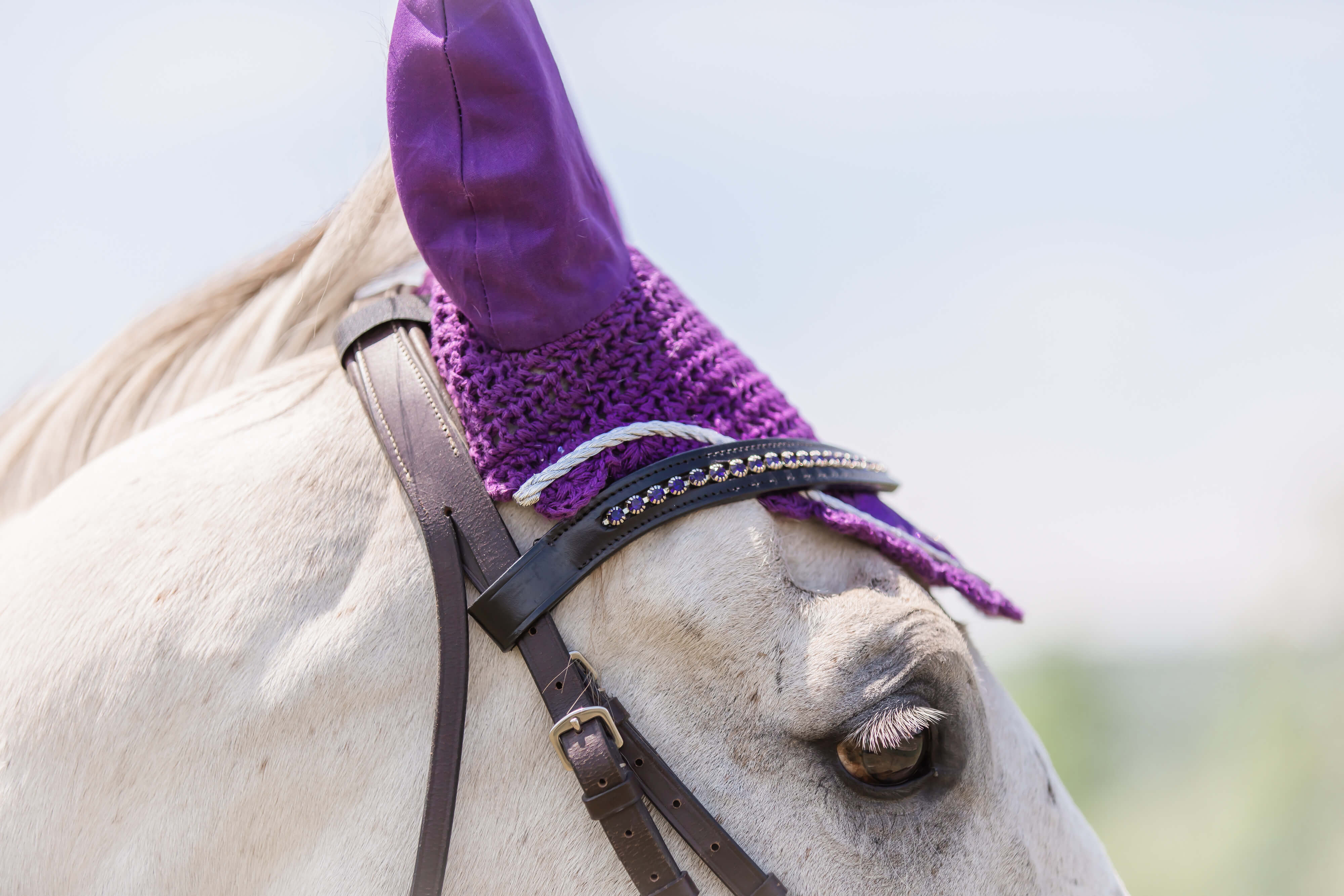 Newhattan high quality Jockey Equestrian Horse trainer hat one size fits all purple unisex